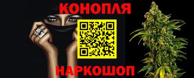 apvp Кингисепп