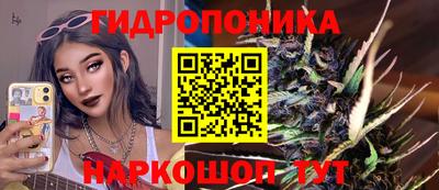 дмт Кимры