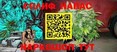 apvp Кингисепп