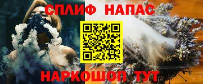 гидра Камышлов